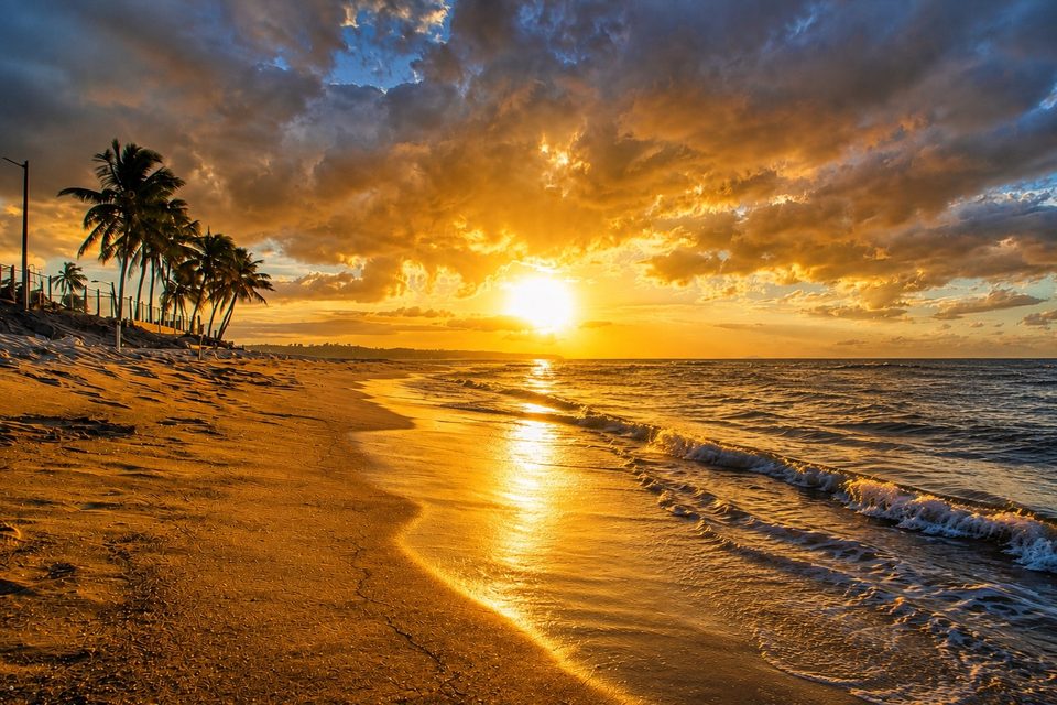 The shoreline at sunset, waves catching the last light